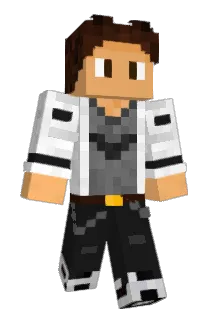 Flixbus16 Minecraft avatar full body