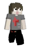 FlizzyYt Minecraft avatar full body