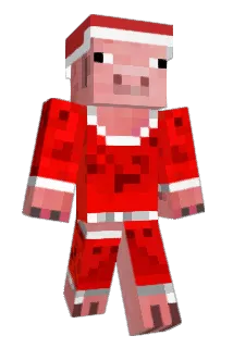 Flo1572 Minecraft avatar full body