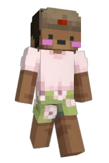 FloChou Minecraft avatar full body