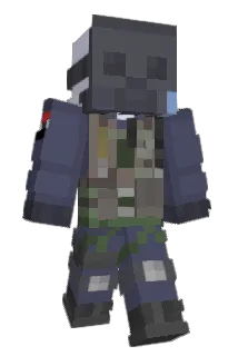 FloWwMG Minecraft avatar full body