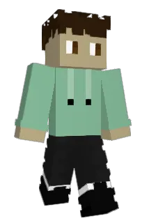 FlockeSocke10 Minecraft avatar full body