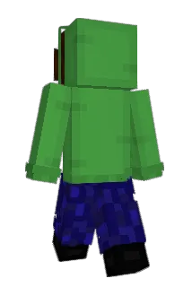 Flom0001 Minecraft avatar full body
