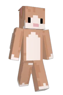 Floots Minecraft avatar full body
