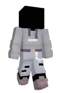 Flopflip Minecraft avatar full body