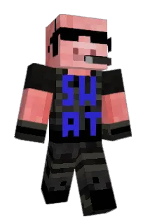 FlopigYoutube Minecraft avatar full body
