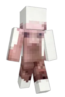 Floppa78 Minecraft avatar full body