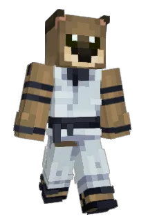 Floppasajr Minecraft avatar full body