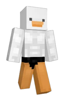 Flopprtotempoppr Minecraft avatar full body