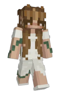 FlorinCo Minecraft avatar full body