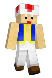 Florix13 Minecraft avatar full body