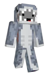 Flossyisbossy Minecraft avatar full body