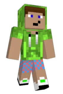Flostradamus55 Minecraft avatar full body
