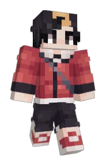 Flotey Minecraft avatar full body