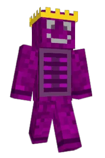 Flow4Show Minecraft avatar full body