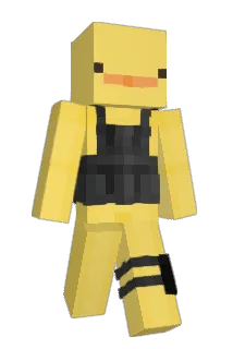 FlowBee3 Minecraft avatar full body
