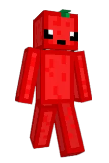 FlowXI Minecraft avatar full body