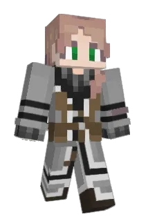 Flowar17 Minecraft avatar full body