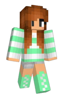 Flower4322 Minecraft avatar full body