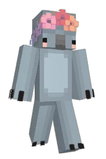 FlowerCat2 Minecraft avatar full body