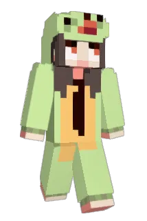 FlowerHwa Minecraft avatar full body