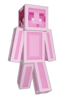 FlowerJester142 Minecraft avatar full body