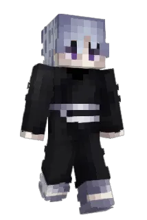 FlowerLife Minecraft avatar full body