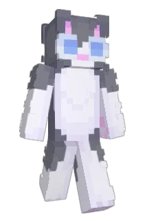 FlowerV Minecraft avatar full body