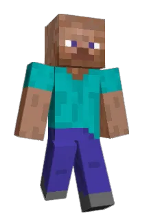 FlowersLR Minecraft avatar full body