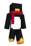 FloweyRing Minecraft avatar full body