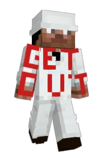 Flowtizm Minecraft avatar full body