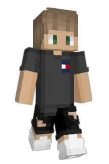 Floxh Minecraft avatar full body