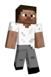 Floy54 Minecraft avatar full body