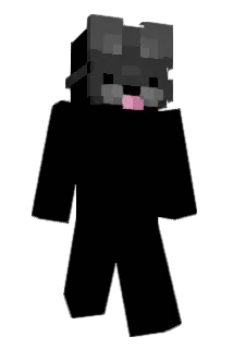 Floyders Minecraft avatar full body