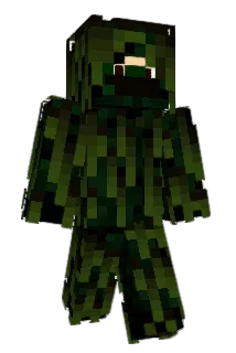 Flritz Minecraft avatar full body