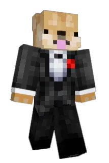 Fluffoizin Minecraft avatar full body