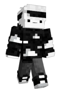 FluidX3 Minecraft avatar full body