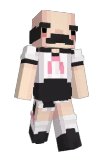 Flummoxa Minecraft avatar full body