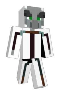 Flummy07 Minecraft avatar full body
