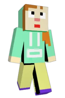 Flutter08 Minecraft avatar full body