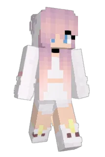 Flutter_Dash Minecraft avatar full body