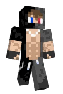 Fly2461 Minecraft avatar full body