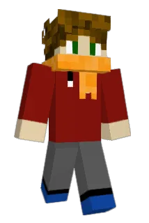 FlyDG Minecraft avatar full body