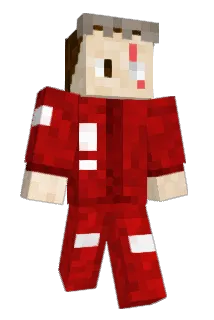 FlyGuyTy Minecraft avatar full body
