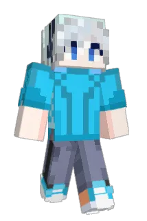 FlyWDY Minecraft avatar full body