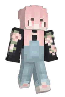 Fly_Tomato Minecraft avatar full body