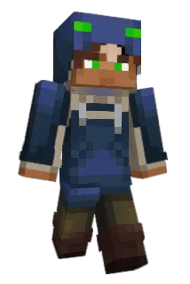 Flyallnp Minecraft avatar full body