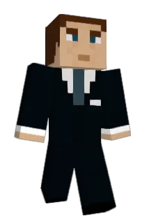 Flyfighter007 Minecraft avatar full body