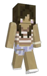Custom render preview