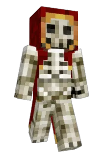 FlyingDucks05 Minecraft avatar full body